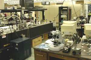 Laucks Foundation Research labratory space