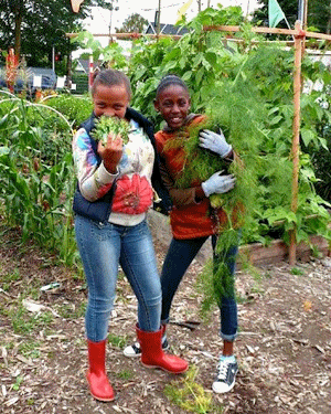 Laucks Foundation grants to support education and research programs